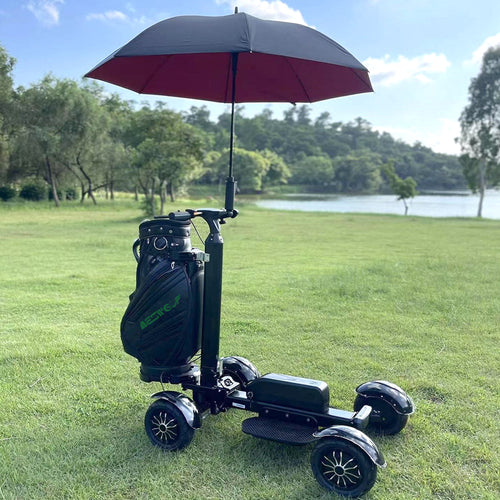 AESWGOF Foldable Electric Golf Scooter – 2400W Dual Motor, 48V 20Ah Battery