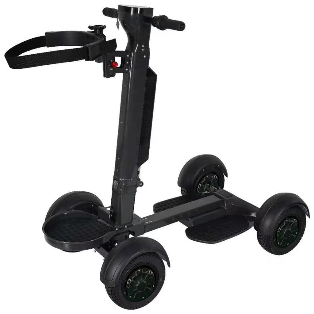AESWGOF electric golf scooter black model main view