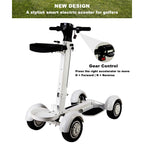 AESWGOF electric golf scooter with steering and gear control